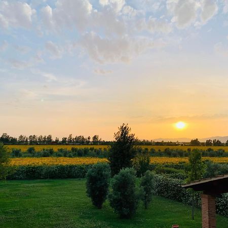 Le Colonne Hotel Spergolaia Kültér fotó