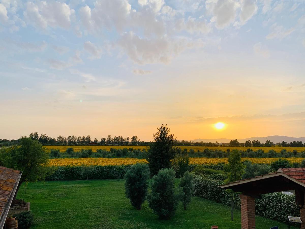 Le Colonne Hotel Spergolaia Kültér fotó